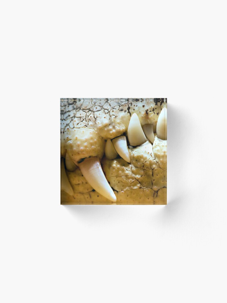 Alternate view of Never Smile at a Crocodile Acrylic Block