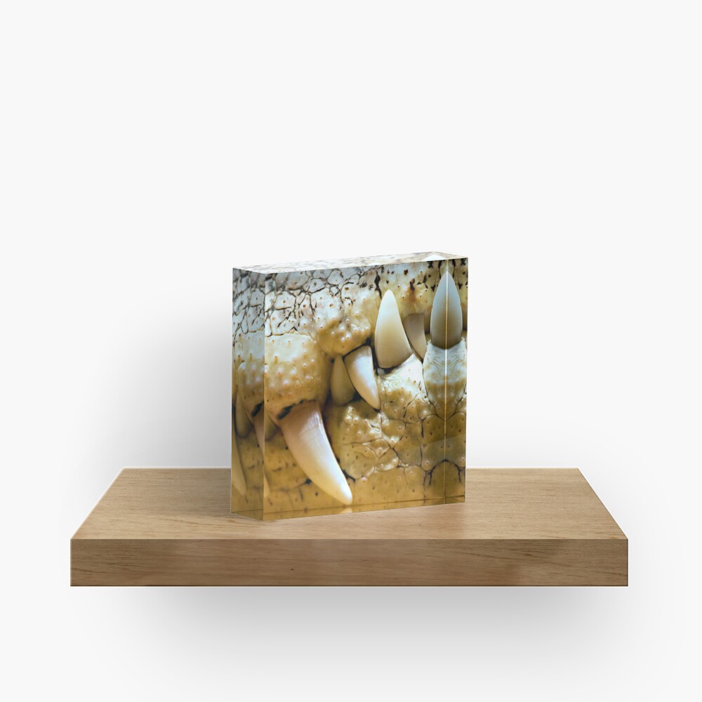 Never Smile at a Crocodile Acrylic Block