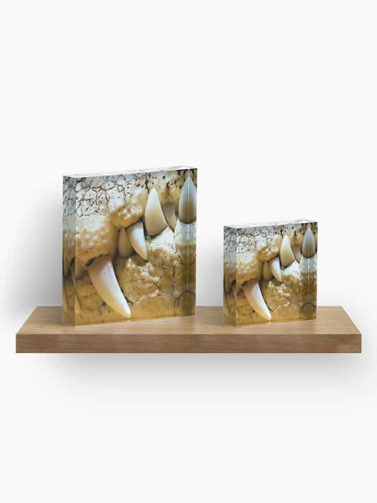 Alternate view of Never Smile at a Crocodile Acrylic Block