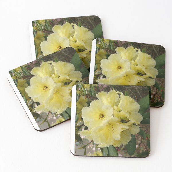Item preview, Pale yellow rhododendron  designed and sold by LittleBettyMakes.