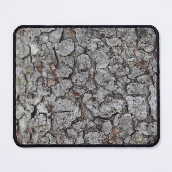 Item preview, A spruce bark designed and sold by Claude Laprise.