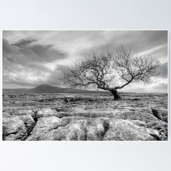 Item preview, Ingleborough - 723 m (2373 ft) designed and sold by SteveMG.