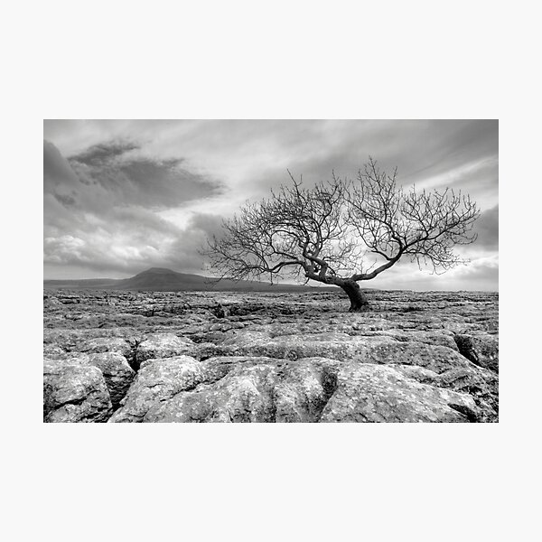 Ingleborough - 723 m (2373 ft) Photographic Print