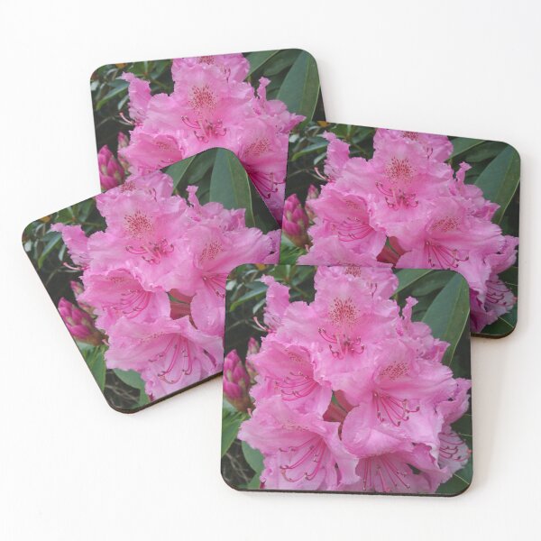 Item preview, Pink rhododendron closeup designed and sold by LittleBettyMakes.