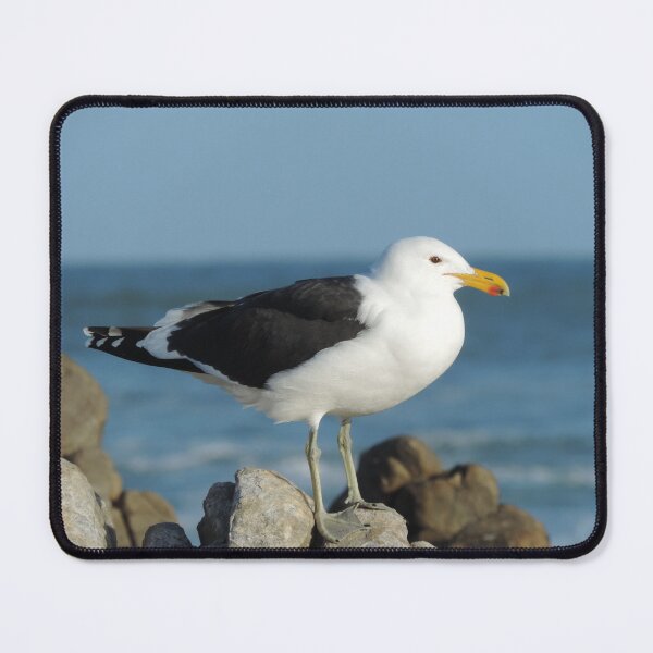 Item preview, Seagull at the Coast designed and sold by laurenbartaart.