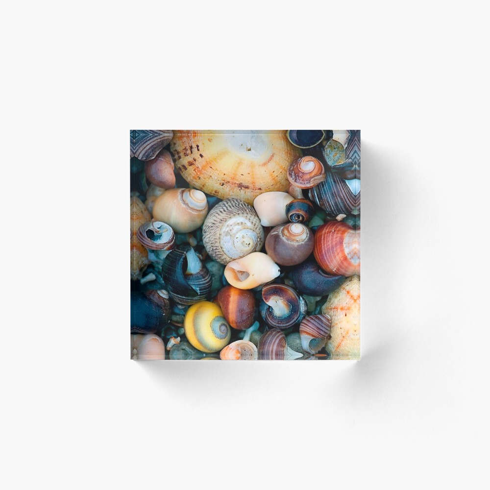 The Shore Acrylic Block