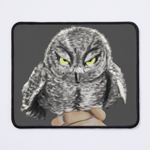 Item preview, Smallest Owl in the World designed and sold by Dani Tank.