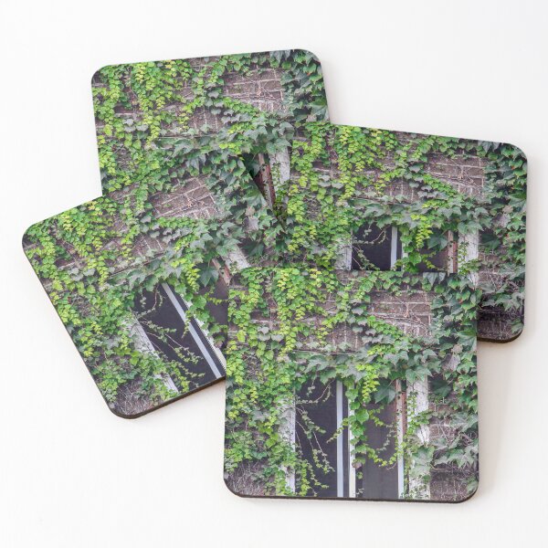 Item preview, Montreal Window designed and sold by heatherfriedman.