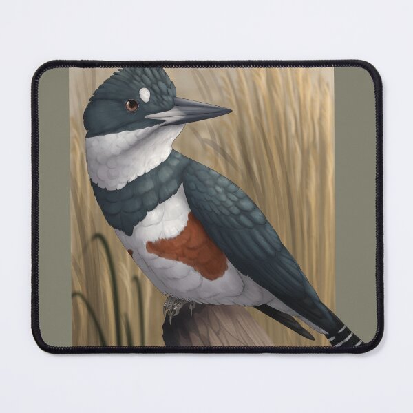 Item preview, Belted Kingfisher designed and sold by DragonArtist15.