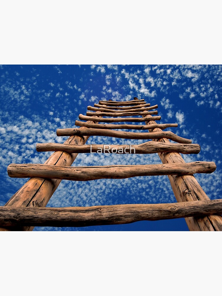 Kiva Ladder by LaRoach