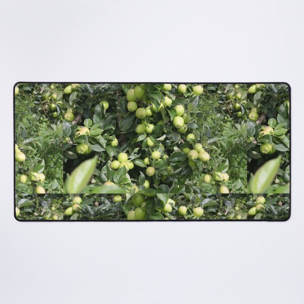 Item preview, Apples growing on a tree designed and sold by pinkal.