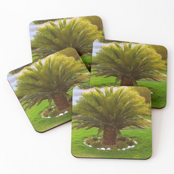 Item preview, cycas palm, palms, oil painting  designed and sold by AA-designstore.