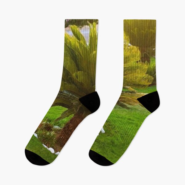 Artikelvorschau, Cycas Palme, Palmen, Ölgemälde entworfen und verkauft von AA-designstore.