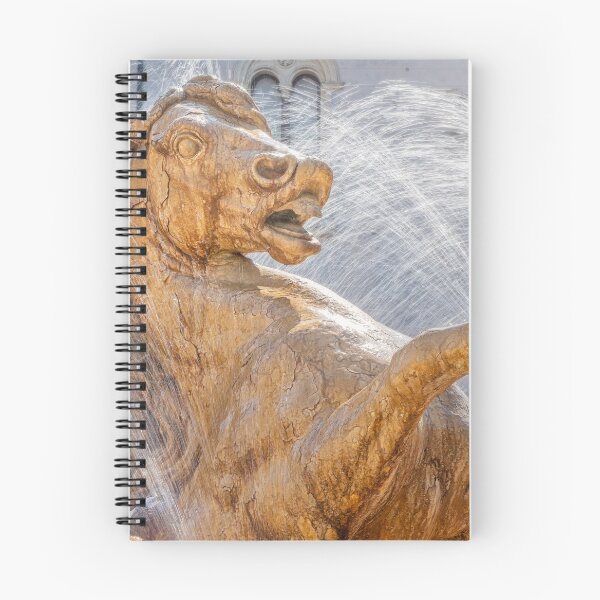 Item preview, Diana Fountain Ortigia Sicily 2 designed and sold by PhotoArt by Joan Carroll.