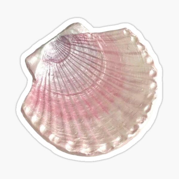 Aperçu de l'œuvre Autocollant coquillage de sirène créée et vendue par e-flwrpot.