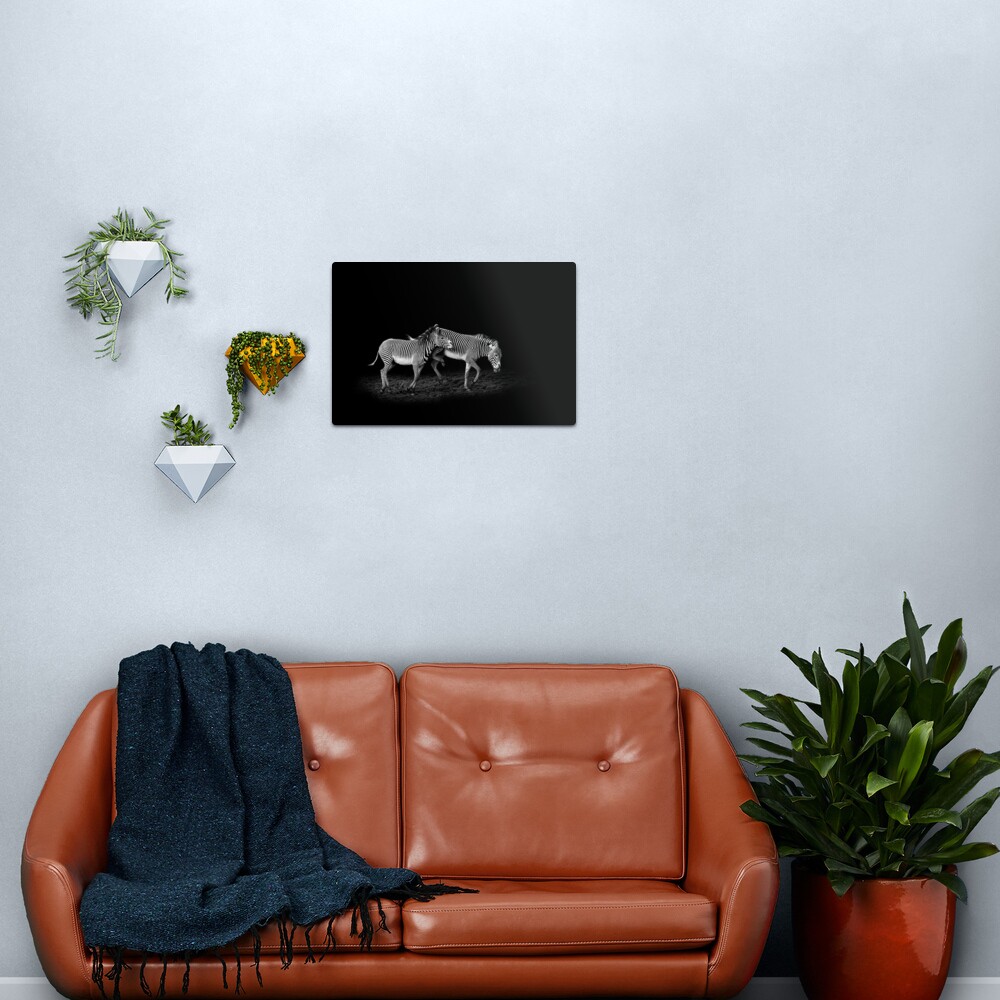 Untitled Metal Print