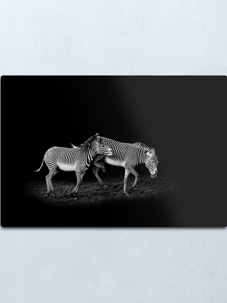 Alternate view of Untitled Metal Print