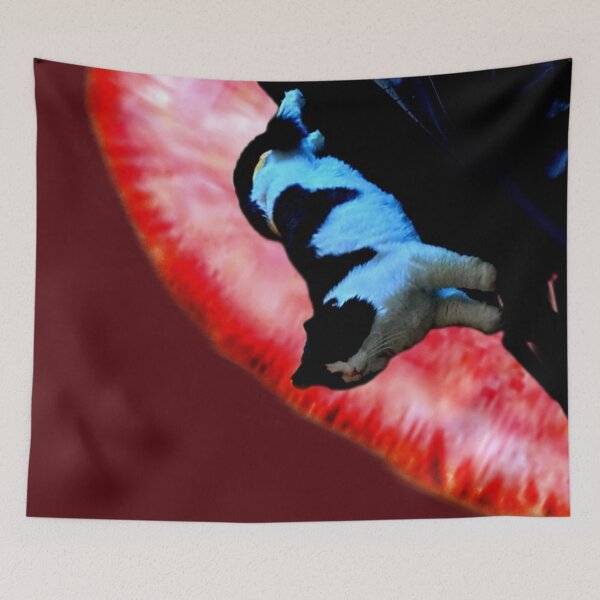 Item preview, Stretching Cat designed and sold by ontological.