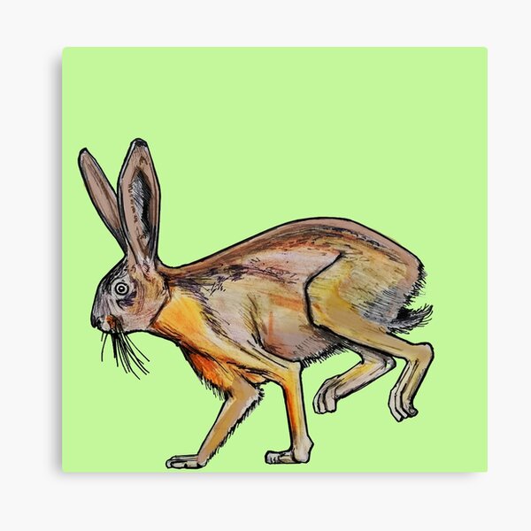 Item preview, Hare designed and sold by ZebritoArt.