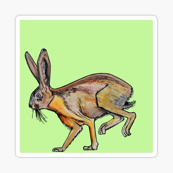 Item preview, Hare designed and sold by ZebritoArt.