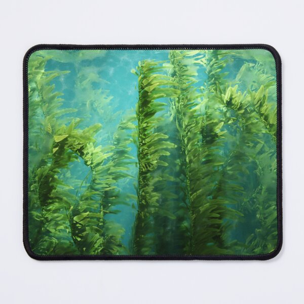 Item preview, Kelp Forest 01 designed and sold by Maggie-3D.