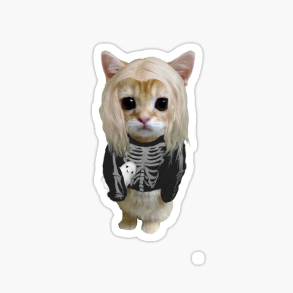 Artikel-Vorschau von Phoebe Bridgers Kätzchen Aufkleber, designt und verkauft von misskittygirl.
