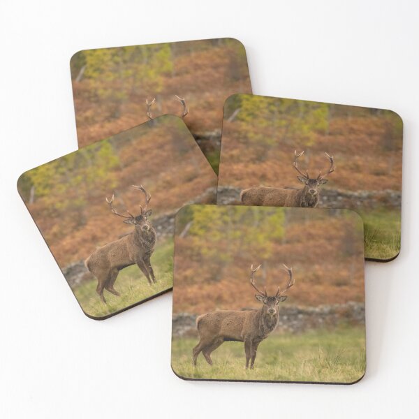 Item preview, Scottish Stag.  designed and sold by JoHackman.