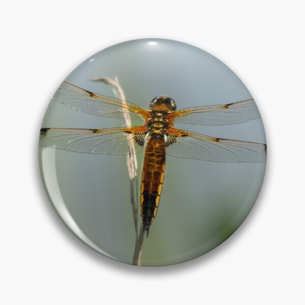 Item preview, Dragonfly.  designed and sold by JoHackman.