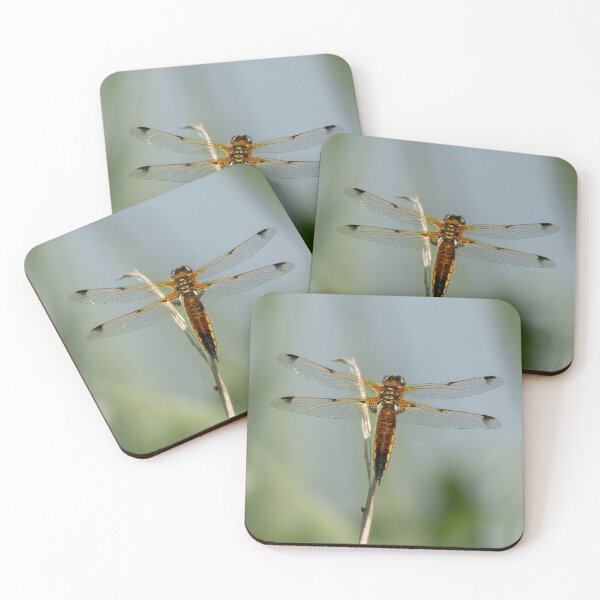 Item preview, Dragonfly.  designed and sold by JoHackman.
