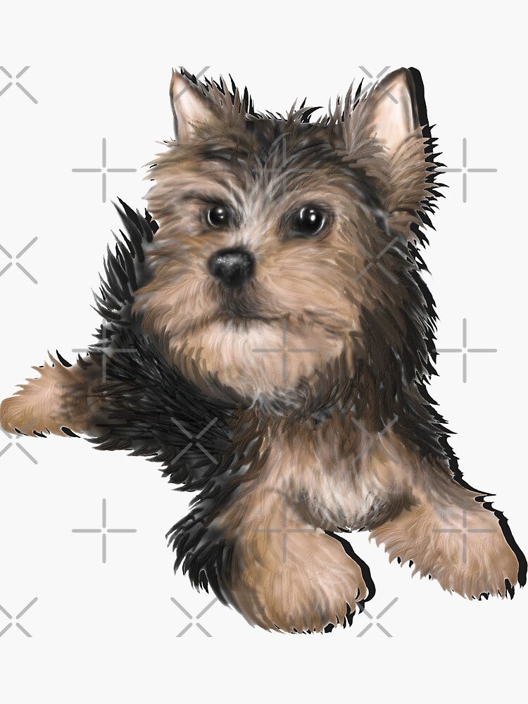 Alert Young Yorkshire Terrier Puppy by snohock