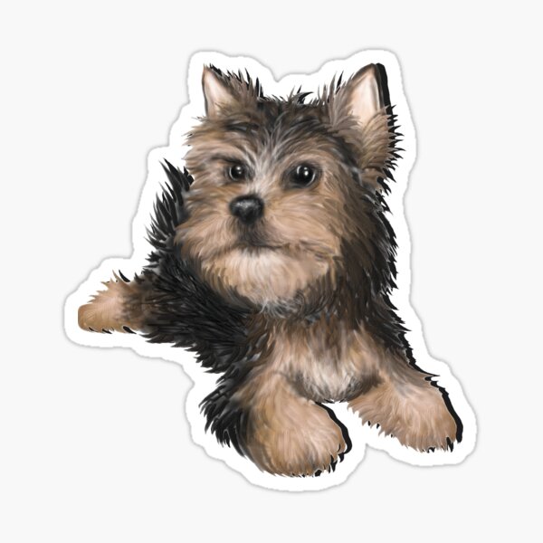 Alert Young Yorkshire Terrier Puppy Sticker