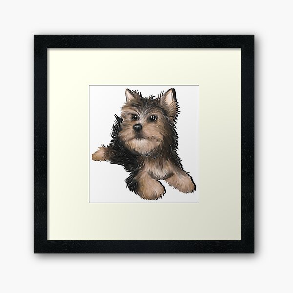 Alert Young Yorkshire Terrier Puppy Framed Art Print