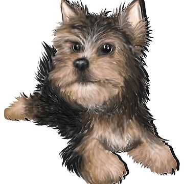 Artwork thumbnail, Alert Young Yorkshire Terrier Puppy by snohock