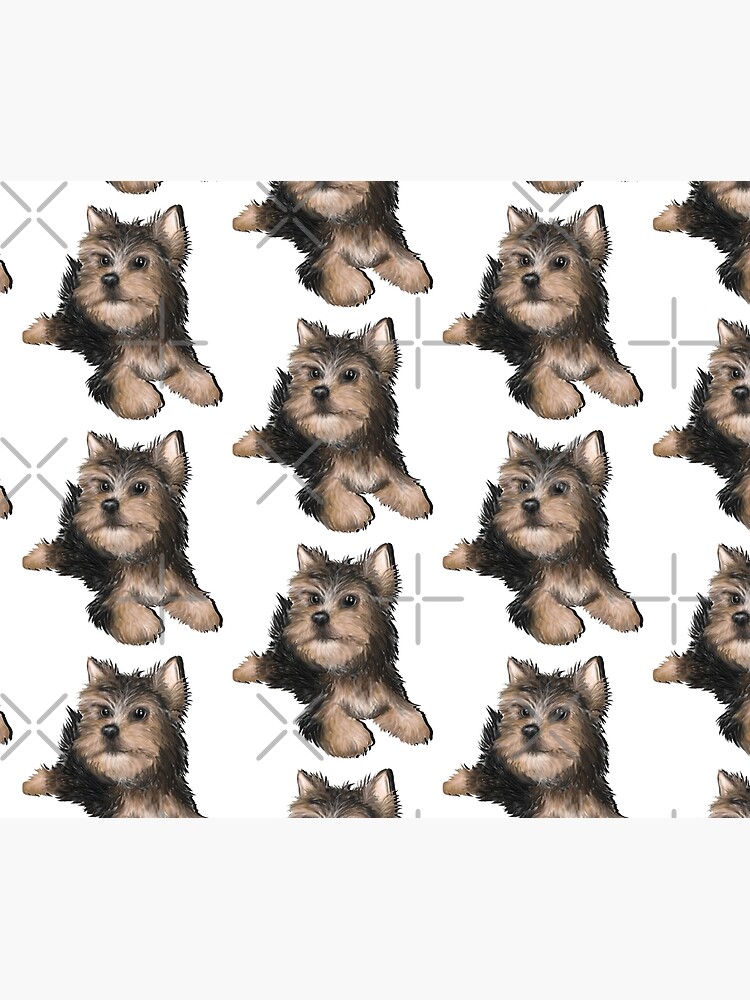 Alert Young Yorkshire Terrier Puppy by snohock