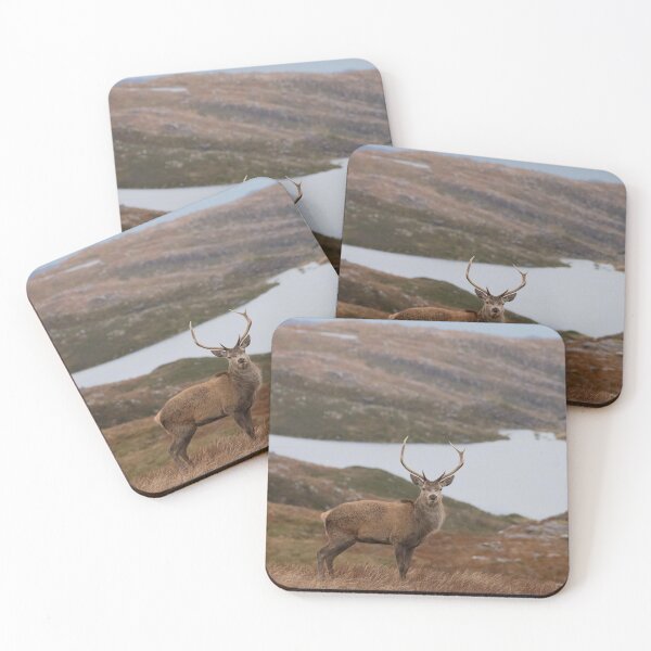 Item preview, Highland Stag. designed and sold by JoHackman.