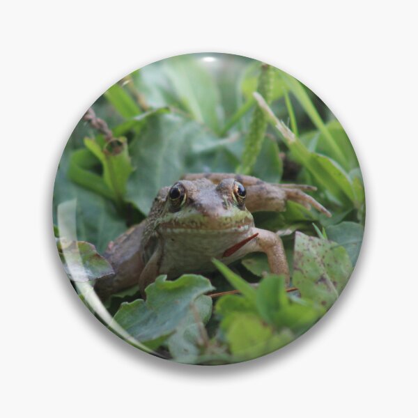 Item preview, Frog Friend designed and sold by McSpirited.
