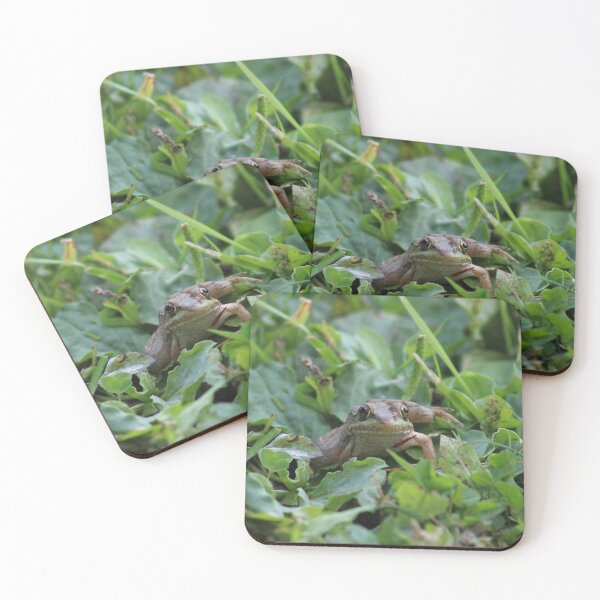 Item preview, Frog Friend designed and sold by McSpirited.