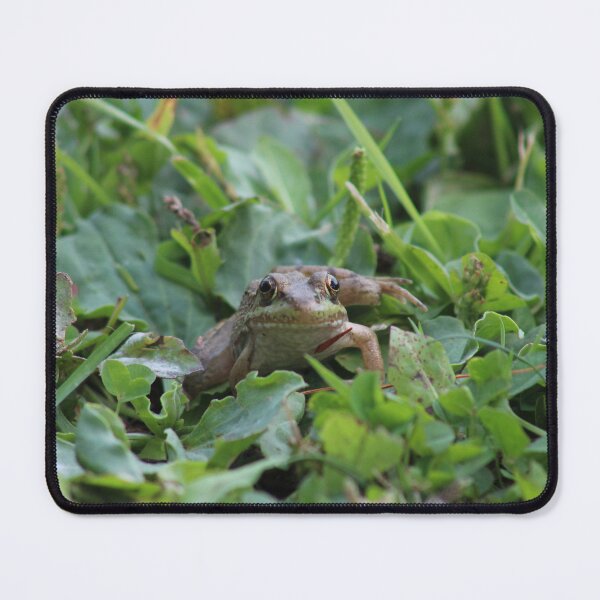 Item preview, Frog Friend designed and sold by McSpirited.