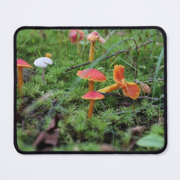 Item preview, Mushroom Family designed and sold by McSpirited.