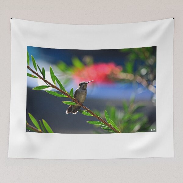 Item preview, A Perched Hummingbird designed and sold by LisaWootenPhoto.