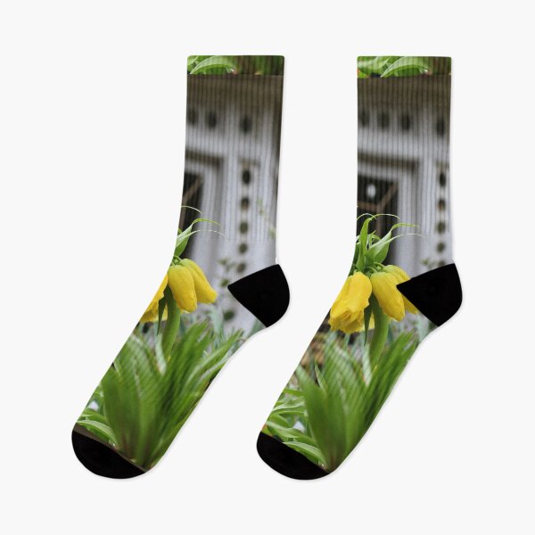 Item preview, Yellow Fritillary Flower designed and sold by pinkal.