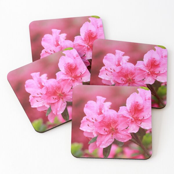 Item preview, Azaleas designed and sold by Gaspar Avila.
