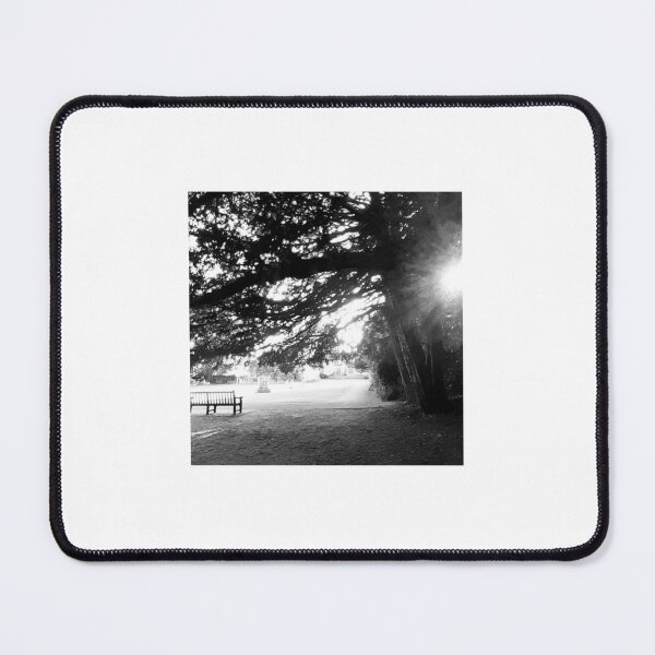 Item preview, Park bench, Lewes designed and sold by Emma Amies.