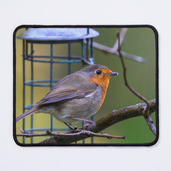 Item preview, Robin designed and sold by James Stokes.