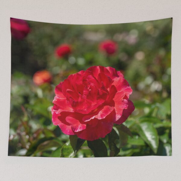 Item preview, Radiant Red Rose Flower designed and sold by SafariByMarisa.