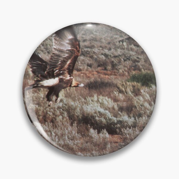 Item preview, Wedgetail Eagle taking off designed and sold by BigAndRed.