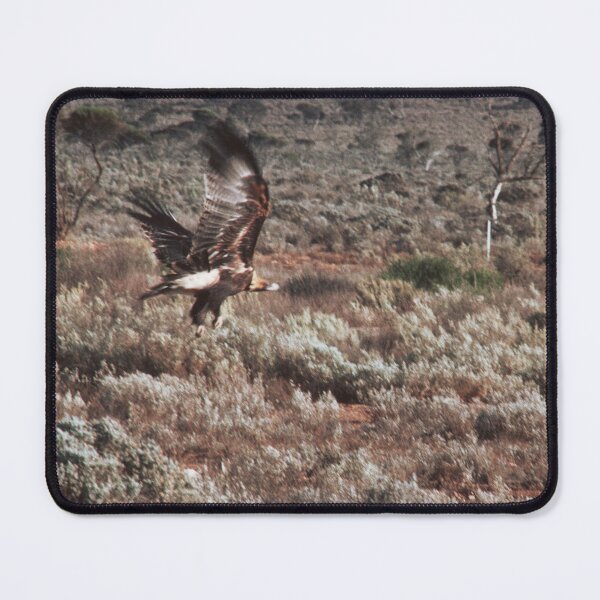 Item preview, Wedgetail Eagle taking off designed and sold by BigAndRed.