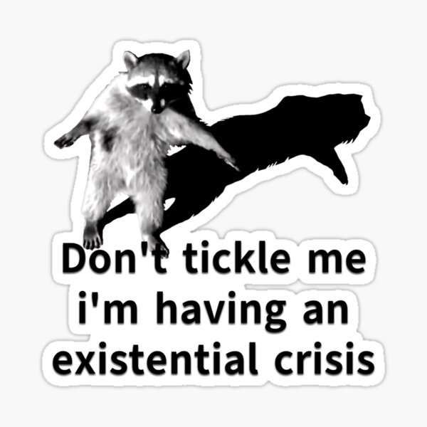 Item preview, tickle me existential crisis racoon designed and sold by Funt-Case.