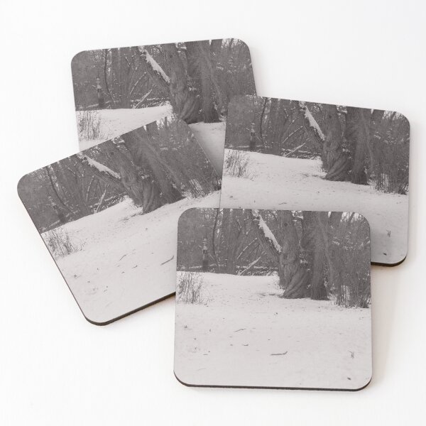 Item preview, A medium shot of a forested area designed and sold by Jackshop708.