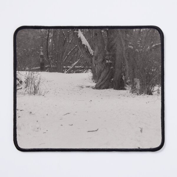Item preview, A medium shot of a forested area designed and sold by Jackshop708.